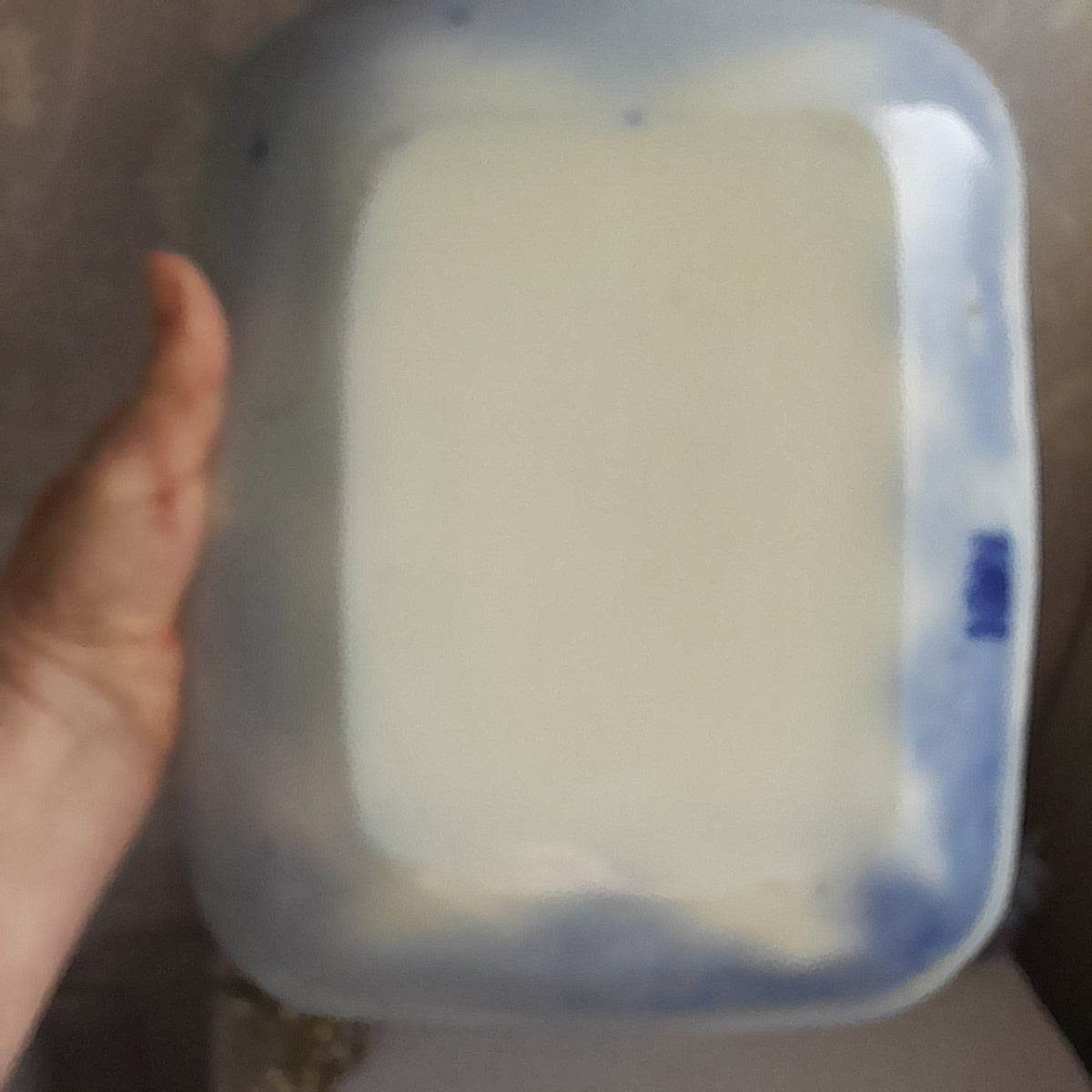 Large Antique Blue & White Rectangular Serving Plate by Lonsda