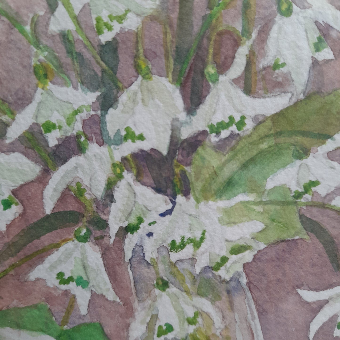 Sweet Little Original Watercolour 'Snowdrops' Painting Framed & Signed