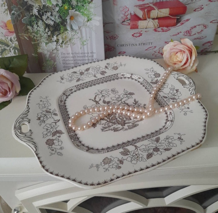 Copeland spode chinese rose plate