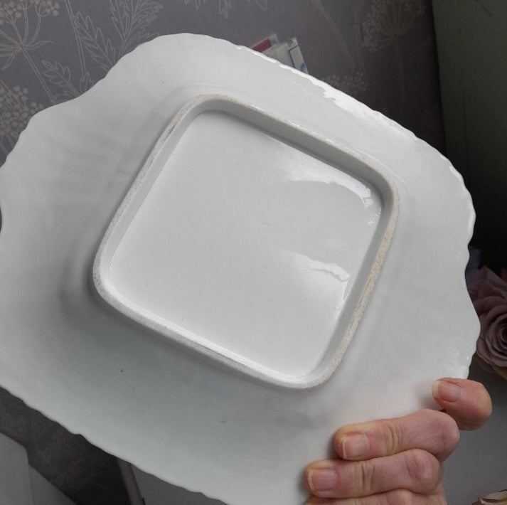 Antique French Sevres Porcelain Cabinet Plate With Handpainted Birds