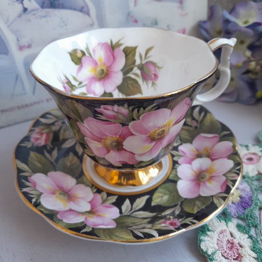 Rare Royal Albert Alberta Rose Cup & Saucer With Pretty Black Pink Flowers