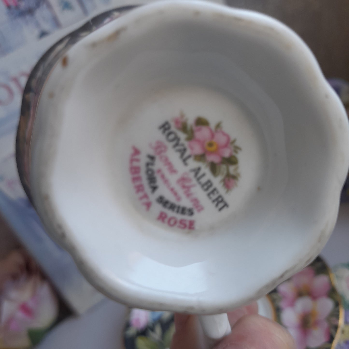 Rare Royal Albert Alberta Rose Cup & Saucer With Pretty Black Pink Flowers