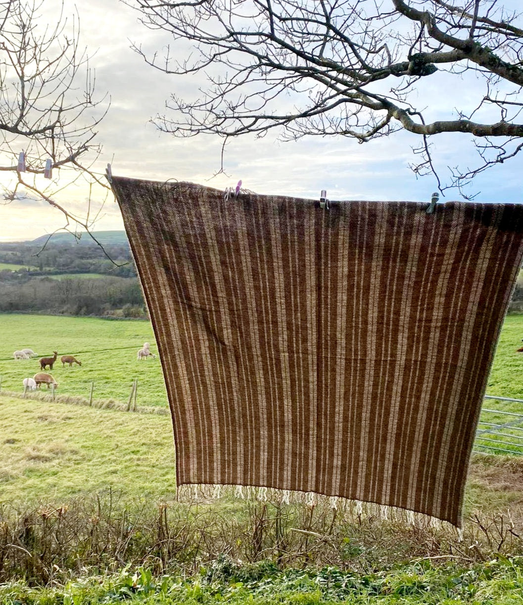 Welsh Narrow Loom Blanket in Natural Brown Alpaca Wool Cream Stripe