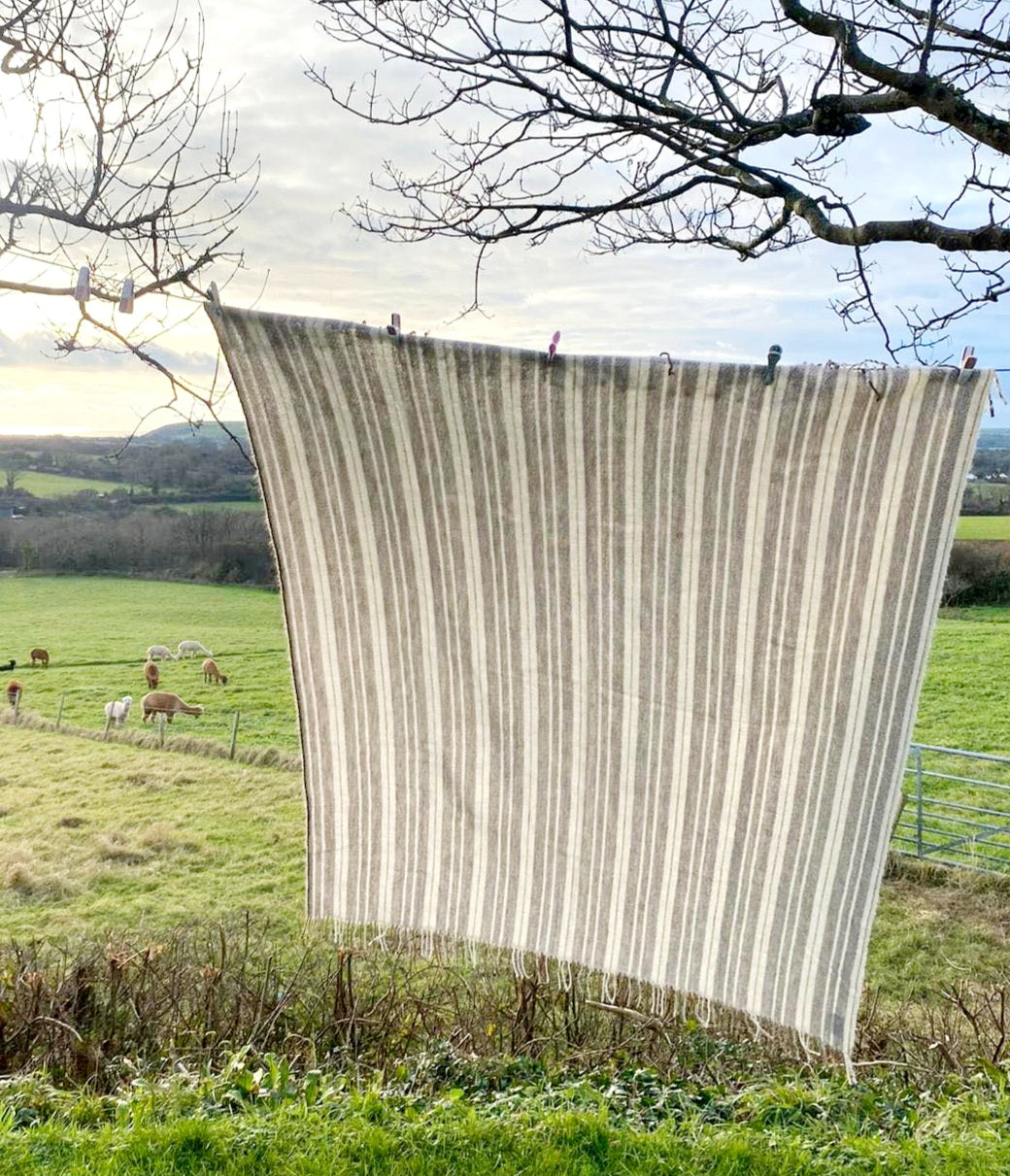 Welsh Narrow Loom Blanket in Natural Cream Alpaca Wool Brown Stripe